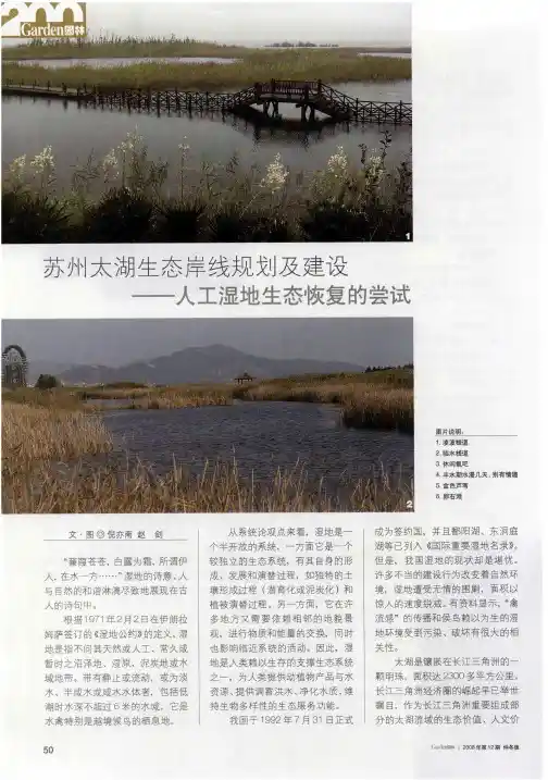 苏州太湖生态岸线规划及建设——人工湿地生态恢复的尝试