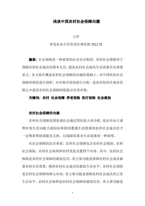 农村社会学课程论文