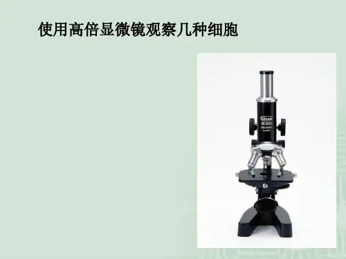 生物高中必修1第一章第二节实验课件1