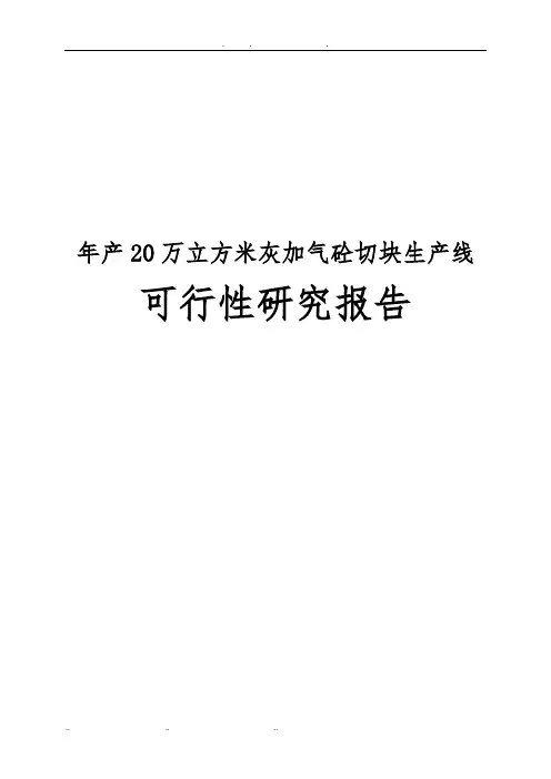 年产20万立方米灰加气砼切块生产线可行性实施报告