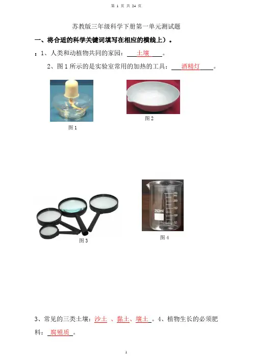 苏教版三年级科学下册单元测试题答案