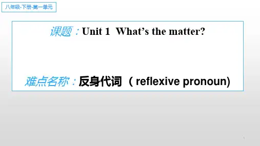 人教版英语八年级下册Unit1 反身代词课件