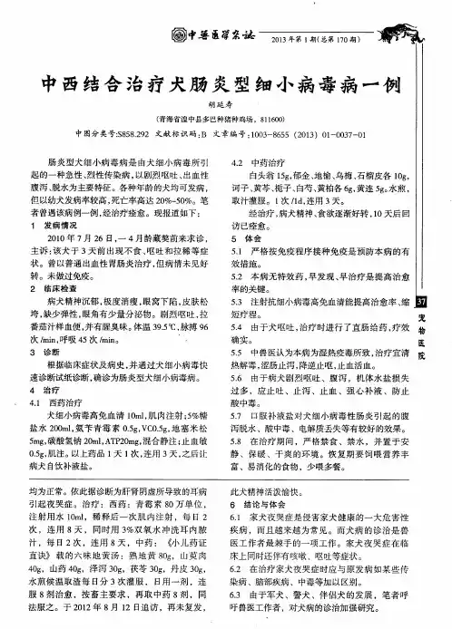 中西结合治疗犬肠炎型细小病毒病一例