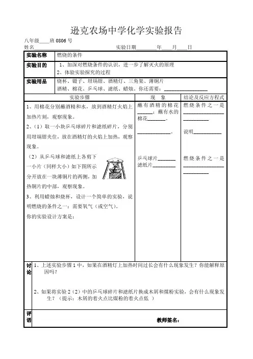 燃烧的条件实验报告
