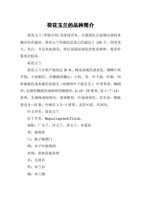 荷花玉兰的品种简介
