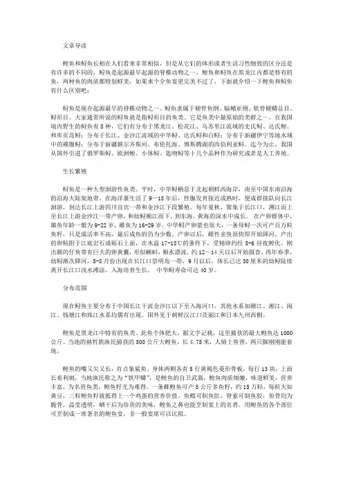 生活养生-鳇鱼和鲟鱼有什么区别