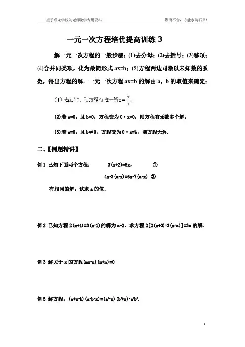 一元一次方程培优提高训练3