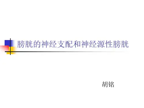 膀胱的神经支配和神经原性膀胱