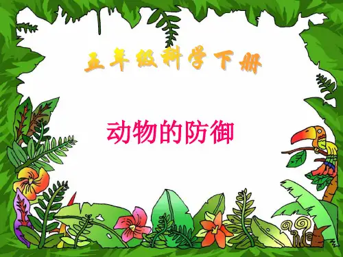 《动物的防御》课件