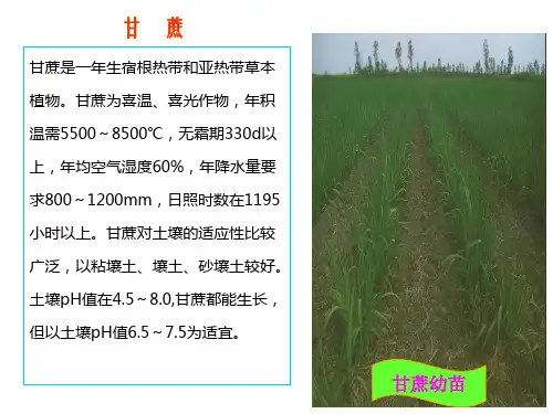 制糖工艺流程简介..