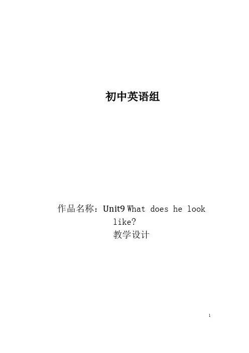 what does he look like  优秀教学设计