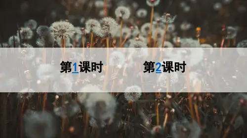 部编版三年级语文上册第五单元第16课《金色的草地》课件PPT