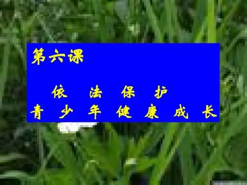 政治课件依法保护青少年的健康成长ppt