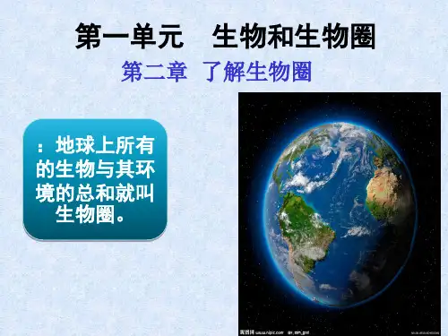 新人教版七年级生物上册 第一单元 第二章 第一节 生物与环境的关系PPT课件