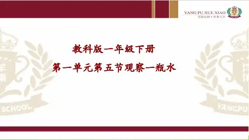 苏教版科学课件《观察》课件详解1