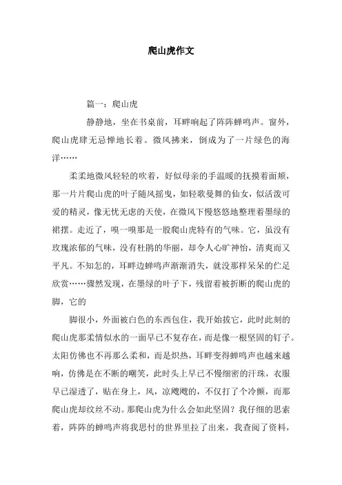 爬山虎作文