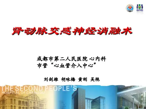 肾动脉交感神经消融术