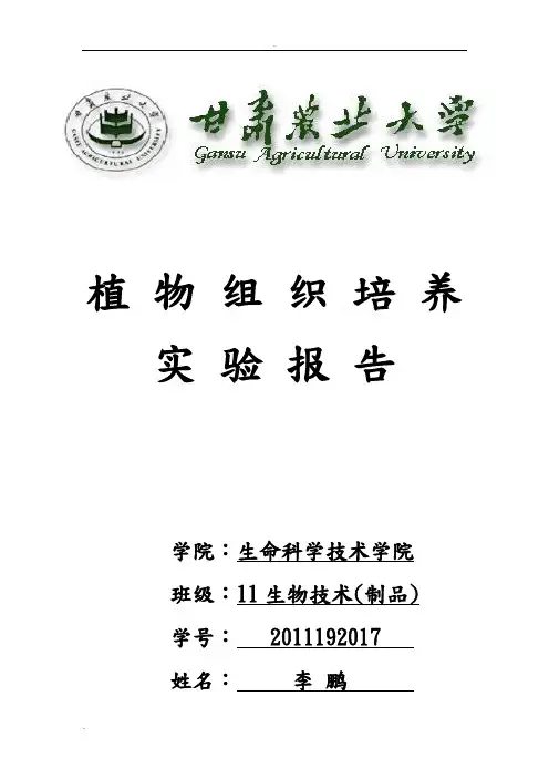 植物组织培养实验报告