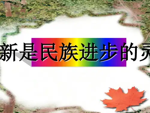 为何说创新是民族进步的灵魂(ppt 44页)PPT学习课件