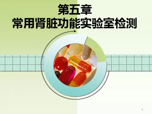 [诊断学]-常用肾功能实验室检测