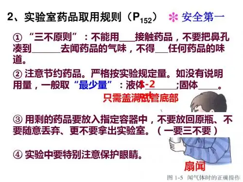 课题3 走进化学世界1课时