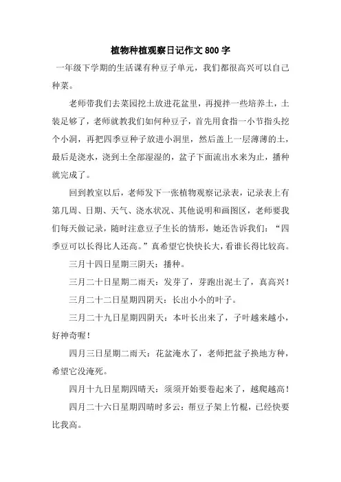 植物种植观察日记作文800字