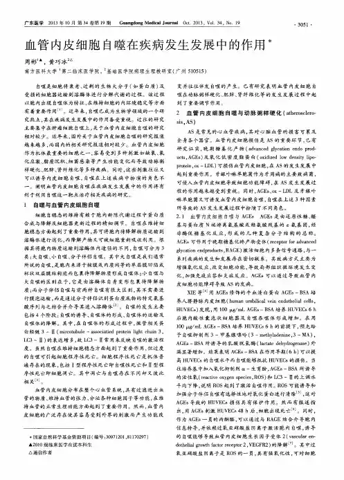 血管内皮细胞白噬在疾病发生发展中的作用