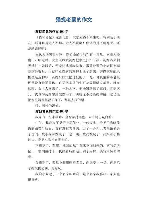 小学生习作范文：猫捉老鼠的作文