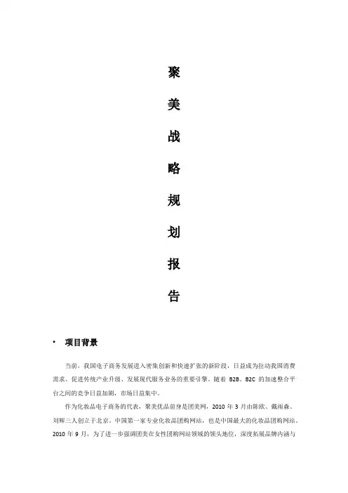 聚美战略规划报告
