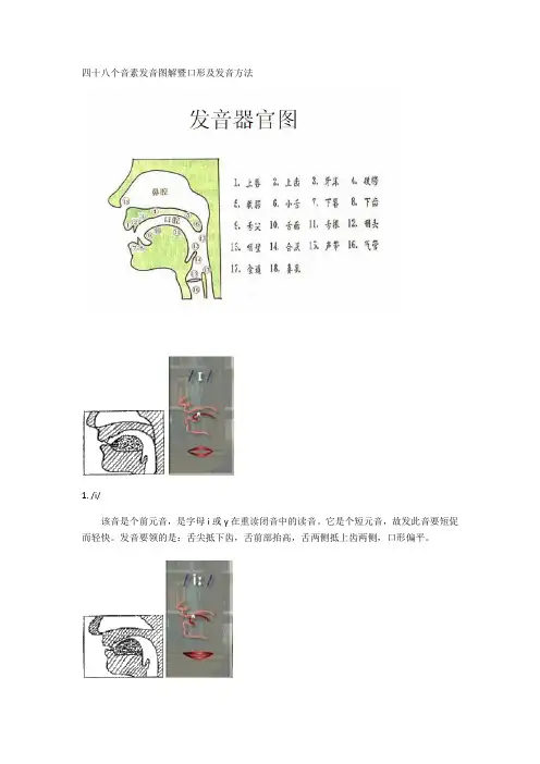 英语国际音标发音舌位图详解及发音方法大全