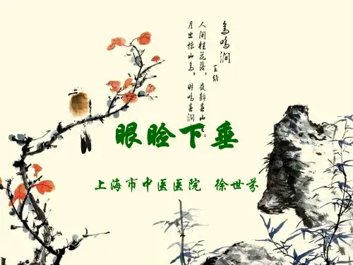 眼睑下垂PPT课件