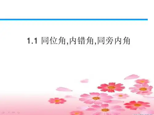 八年级数学同位角、内错角、同旁内角2