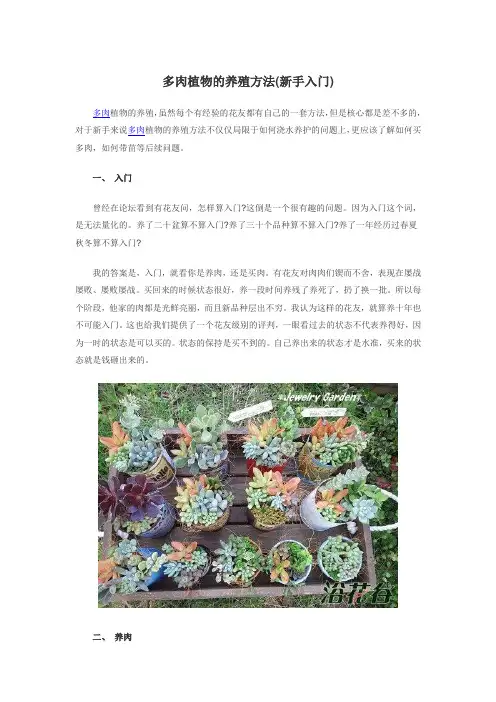 多肉植物的养殖方法