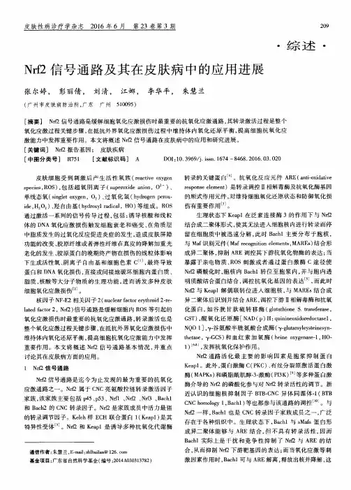 Nrf2信号通路及其在皮肤病中的应用进展