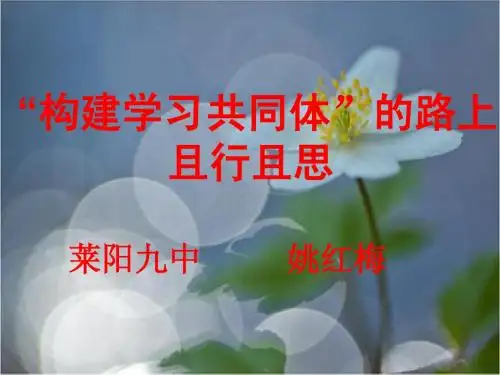 合作学习交流