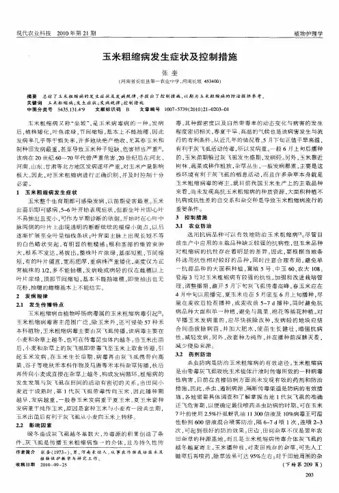 玉米粗缩病发生症状及控制措施