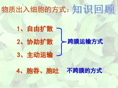 物质跨膜运输的方式和影响因素