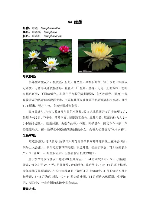 水生植物整理