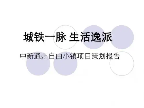 北京中新通州自由小镇项目策划报告56页-2007年