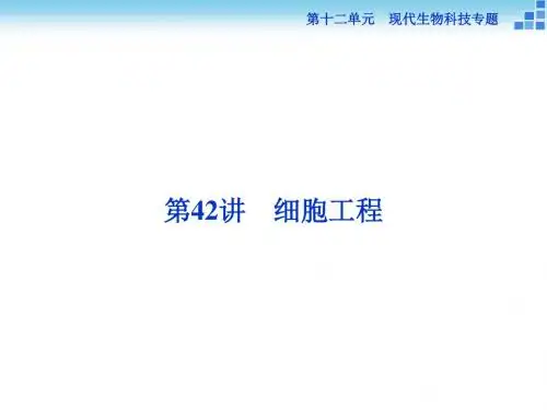 高三生物一轮总复习 第十二单元第42讲