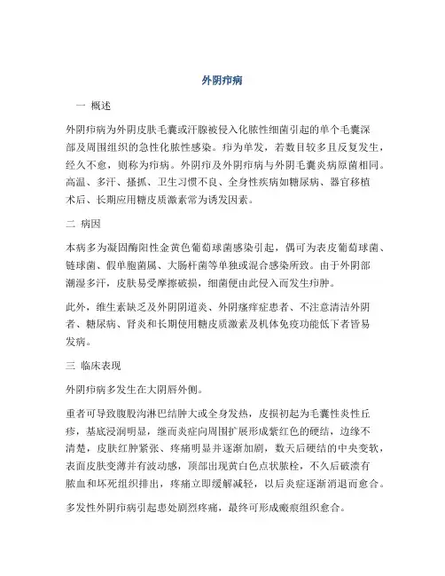 医学知识之外阴疖病