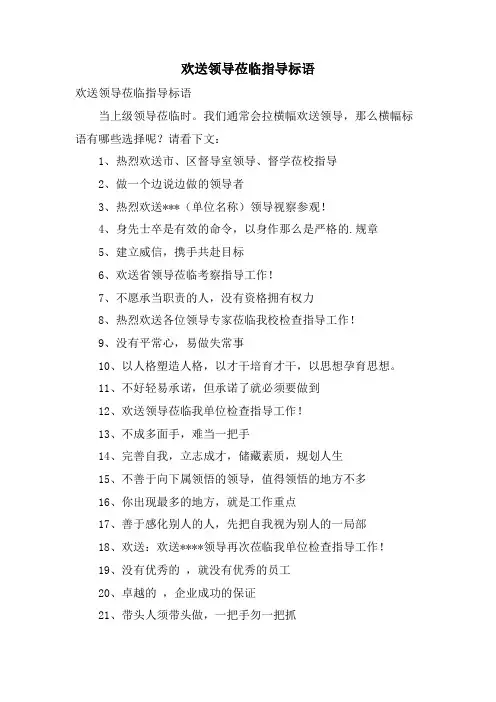 欢迎领导莅临指导标语