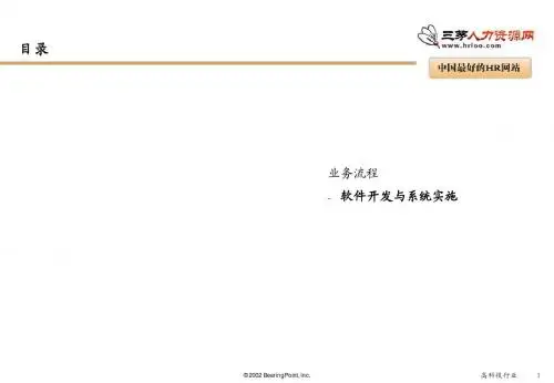 软件开发和系统实施
