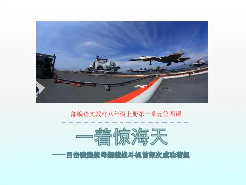 部编语文教材八年级上册第一单元第四课《一着惊海天》课件