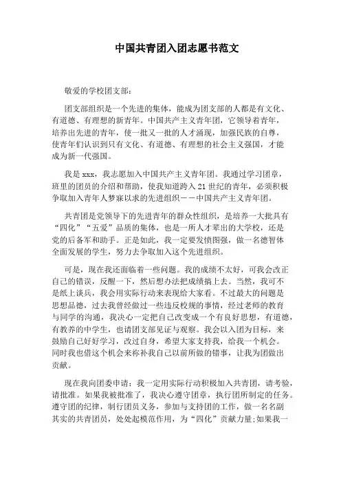 中国共青团入团志愿书范文