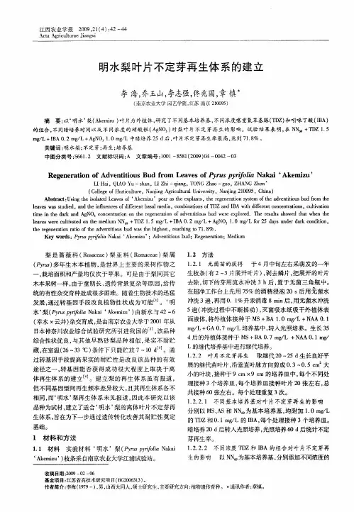 明水梨叶片不定芽再生体系的建立