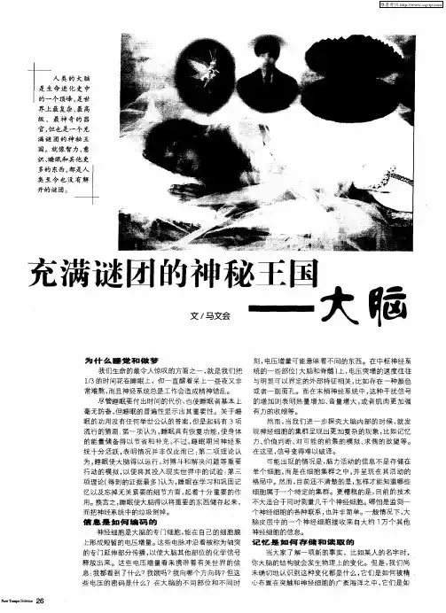 充满谜团的神秘王国——大脑