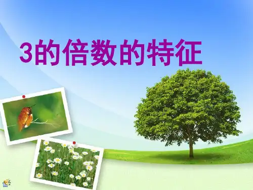 3的倍数的特征