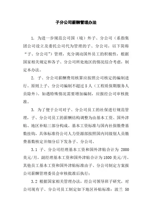 子分公司薪酬管理办法