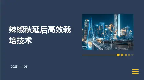 辣椒秋延后高效栽培技术